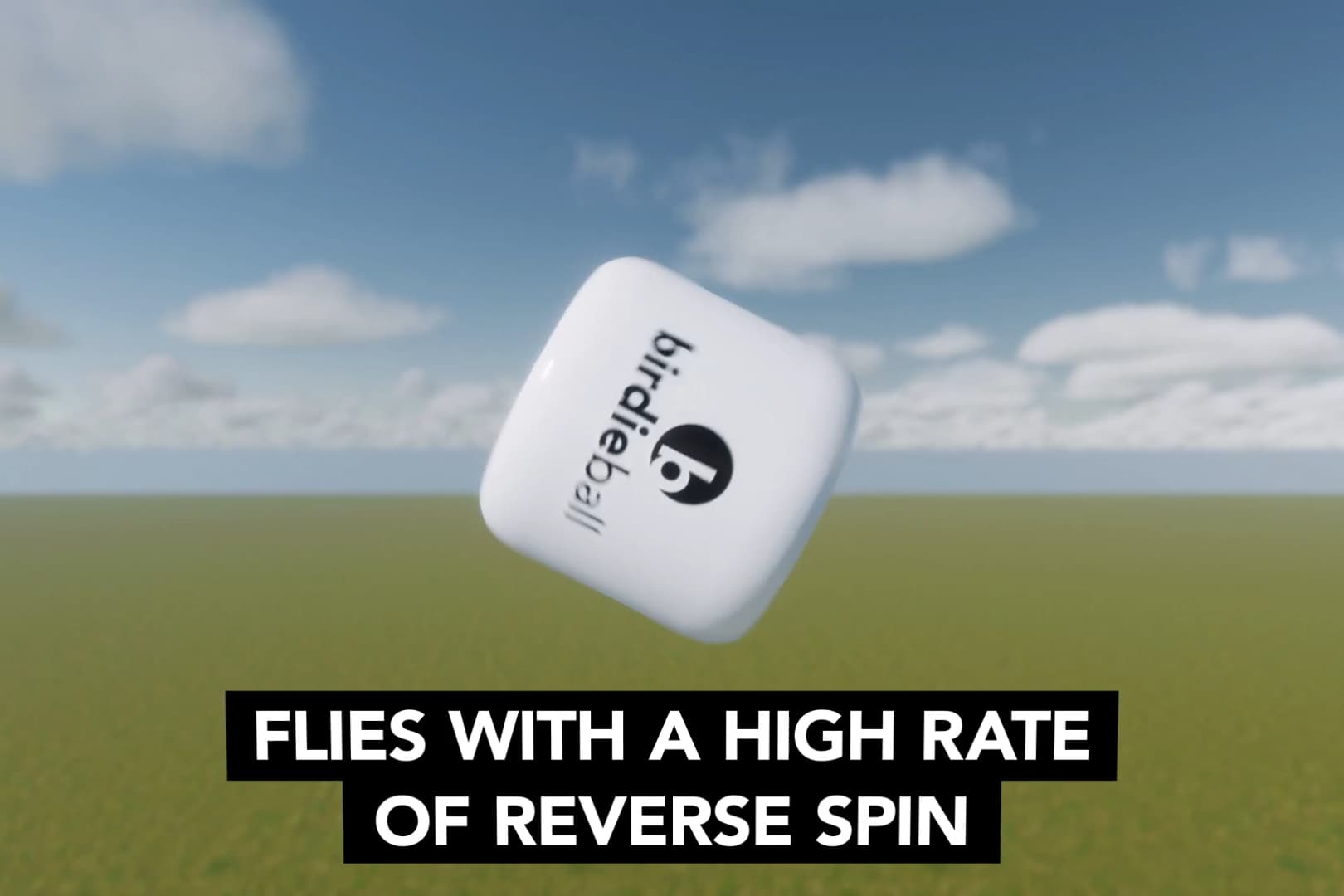 Realistic Ball Flight and Spin