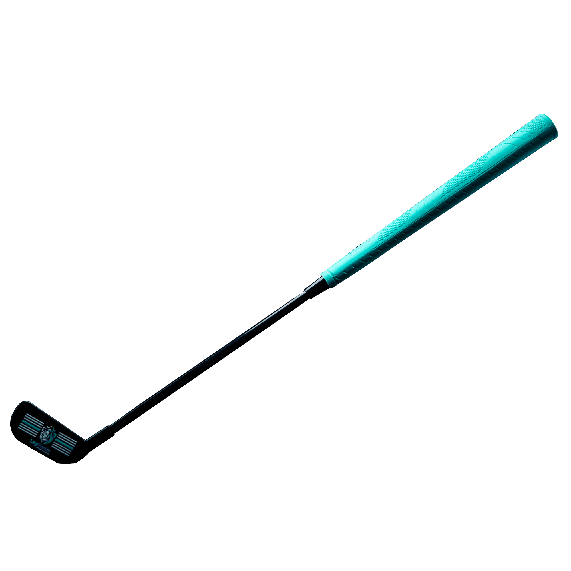 Lag Development Training System