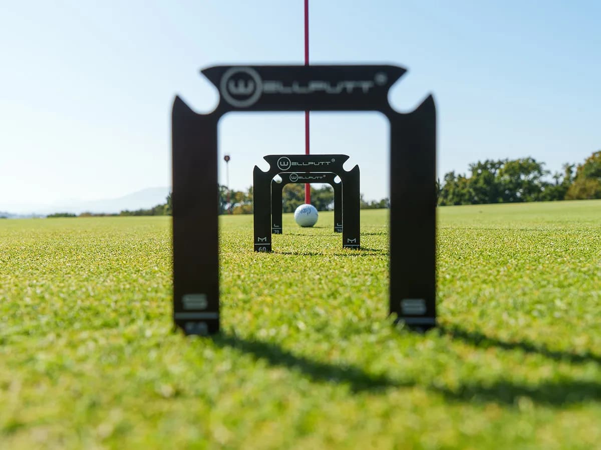 Progressive Gate Size Training