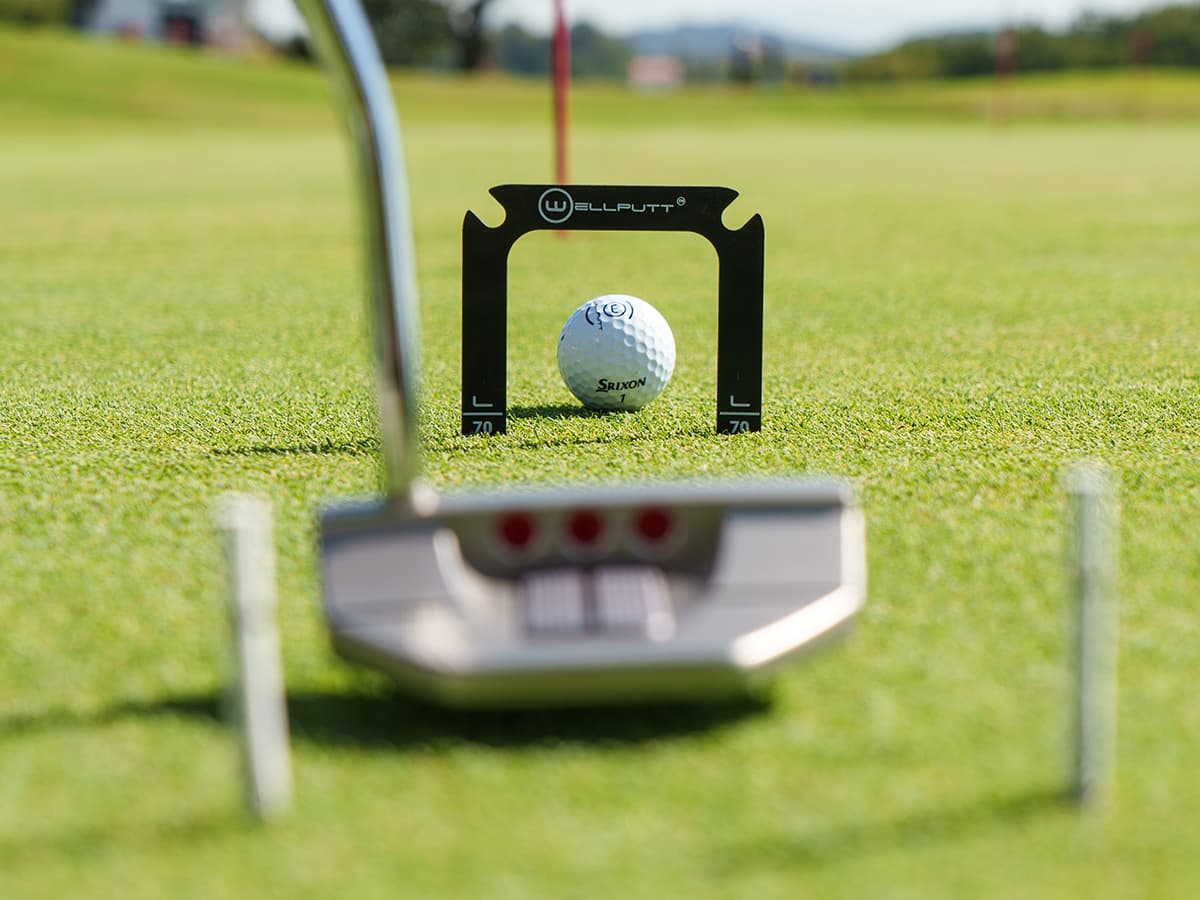 Wellgate Putting Gates Training Set - Main feature image