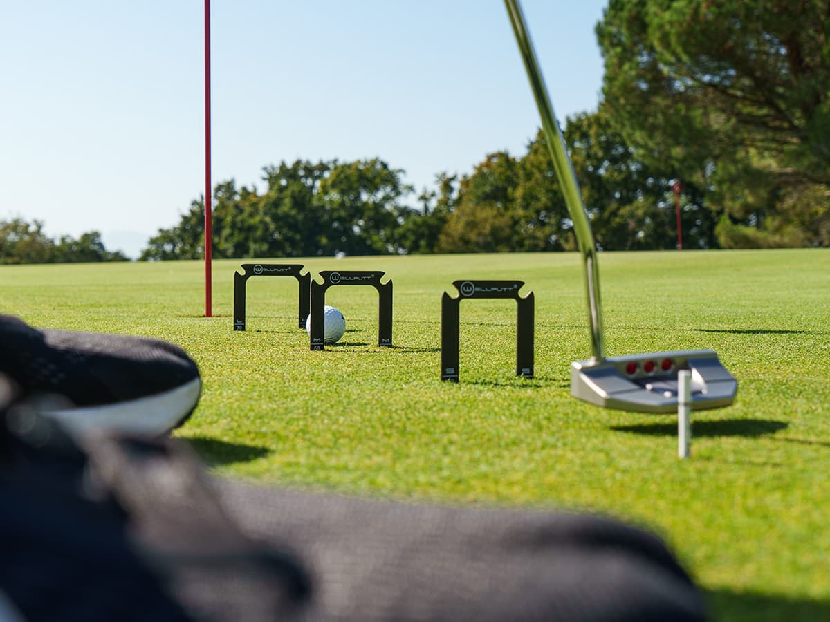 Wellgate Putting Gates Training Set